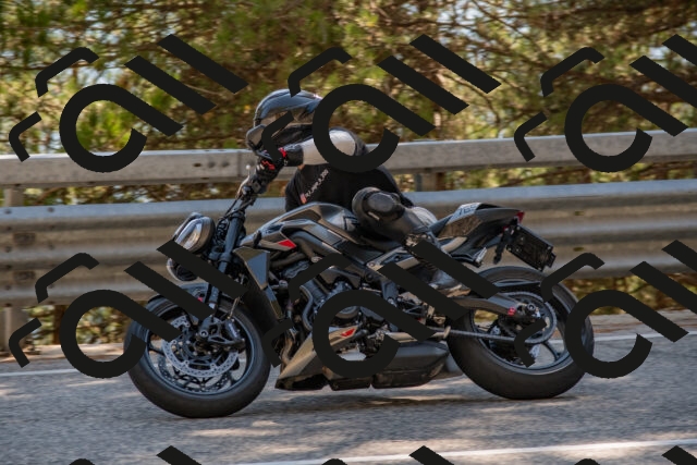 202508091555-DSC_3999_c4_