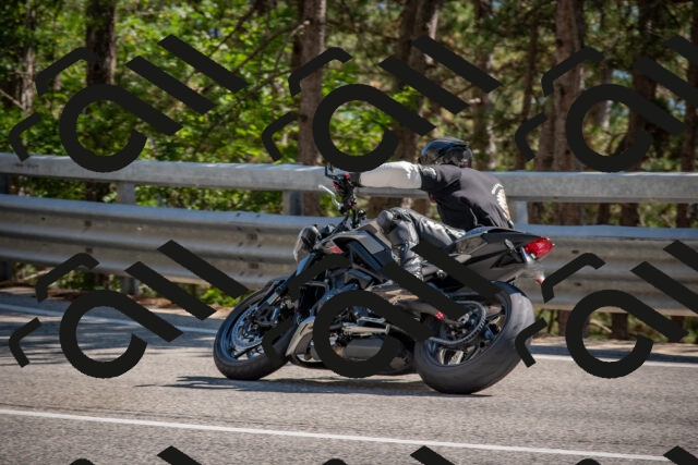 202508091555-DSC_4001_c4_