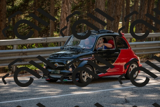 202508091556-DSC_4003_c4_