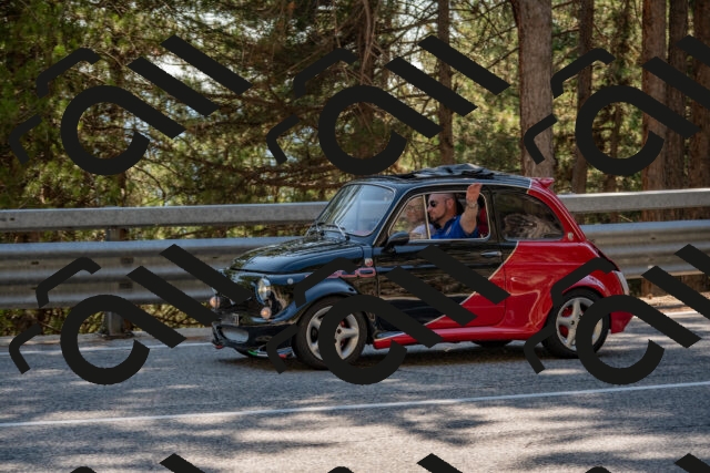 202508091556-DSC_4004_c4_