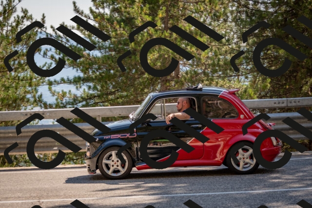 202508091556-DSC_4005_c4_