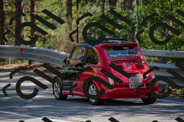 202508091556-DSC_4007_c4_