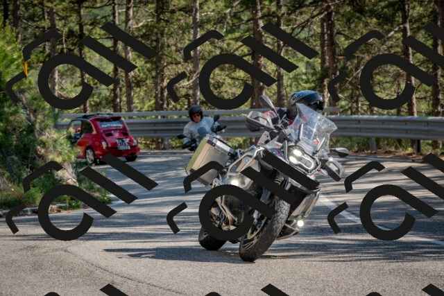 202508091556-DSC_4008_c4_