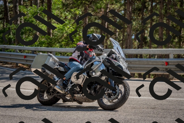 202508091556-DSC_4010_c4_