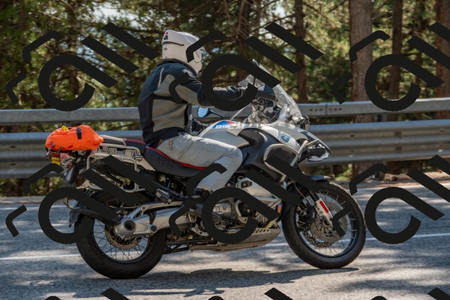 202508091556-DSC_4015_c4_