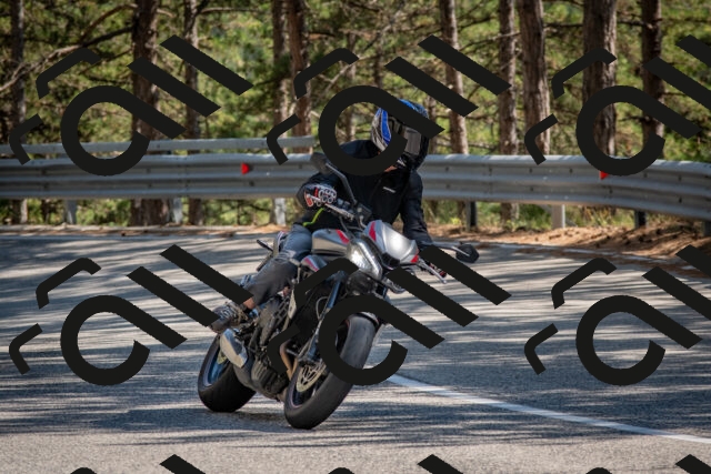 202508091557-DSC_4016_c4_