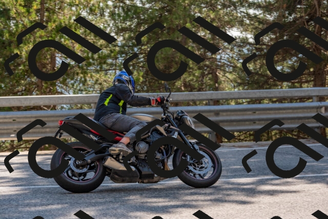 202508091557-DSC_4019_c4_