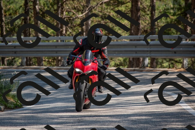 202508091559-DSC_4020_c4_