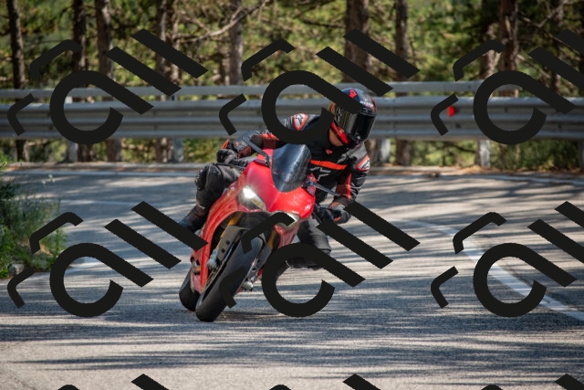 202508091559-DSC_4021_c4_