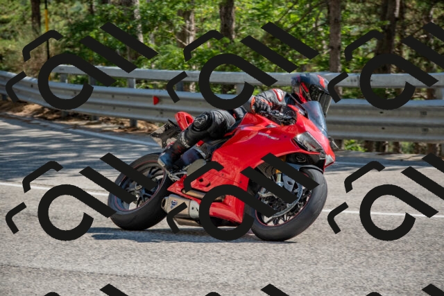 202508091559-DSC_4023_c4_