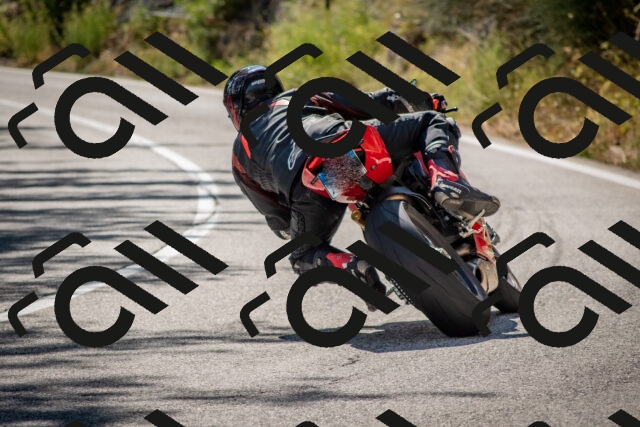 202508091559-DSC_4025_c4_