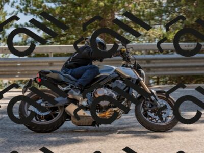 202508091613-DSC_4081_c4_