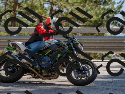 202508091613-DSC_4088_c4_