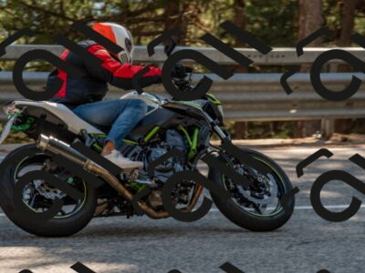 202508091613-DSC_4089_c4_