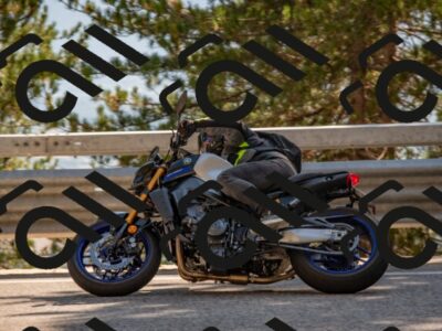 202508091614-DSC_4095_c4_