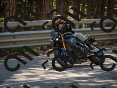 202508091615-DSC_4097_c4_