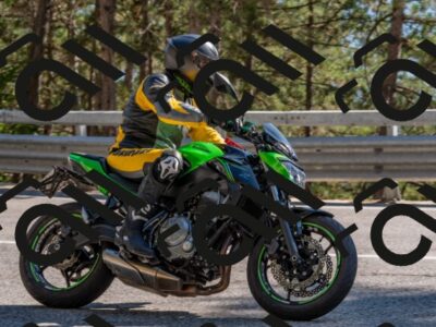 202508091618-DSC_4109_c4_