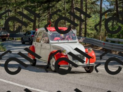 202508091623-DSC_4133_c4_