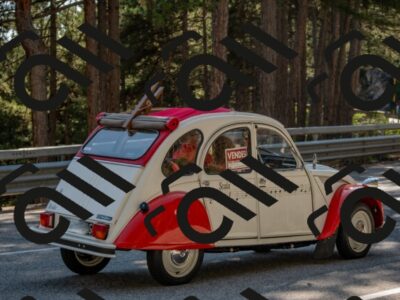 202508091623-DSC_4134_c4_