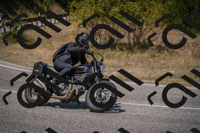 20250810123103-_5003644_am_