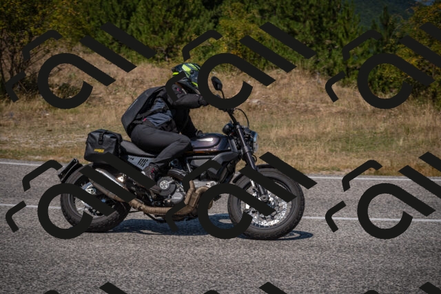 20250810123103-_5003645_am_