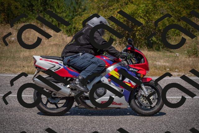 20250810123304-_5003674_am_