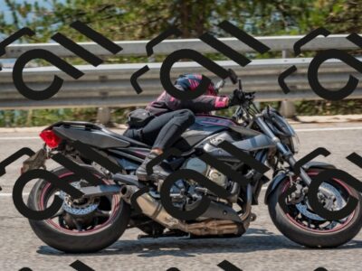 202508101300-DSC_4180_c4_