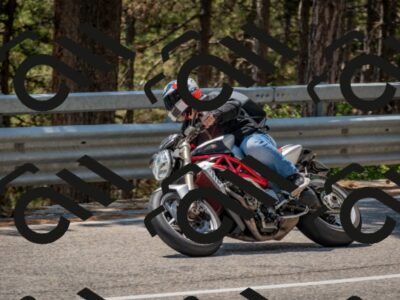 202508101307-DSC_4205_c4_