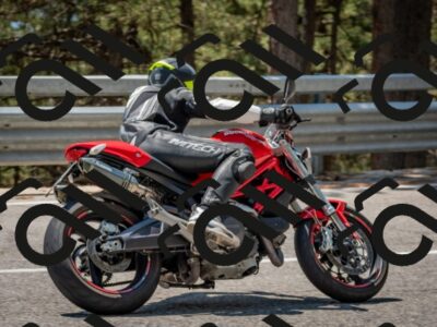 202508101308-DSC_4225_c4_