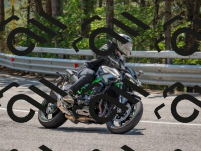 202508101310-DSC_4259_c4_