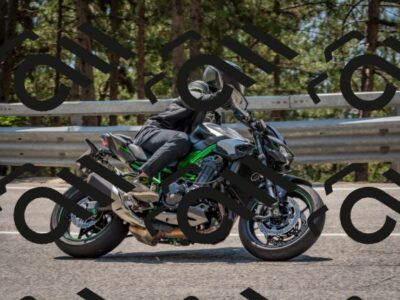 202508101310-DSC_4260_c4_