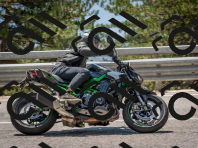 202508101310-DSC_4261_c4_