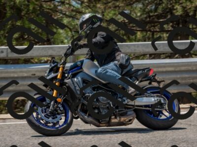 202508101313-DSC_4281_c4_