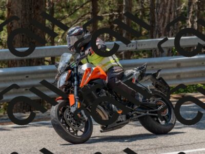 202508101315-DSC_4307_c4_