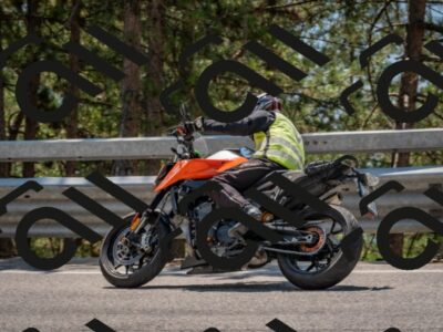 202508101315-DSC_4309_c4_