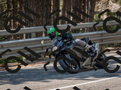 202508101317-DSC_4310_c4_