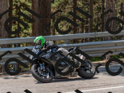 202508101317-DSC_4311_c4_