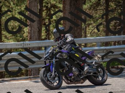 202508101318-DSC_4321_c4_