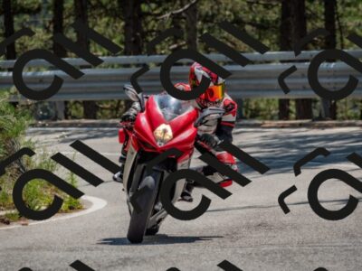 202508101333-DSC_4445_c4_