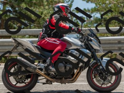 202508101333-DSC_4455_c4_