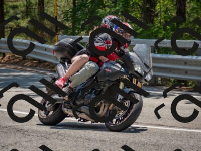 202508101335-DSC_4469_c4_