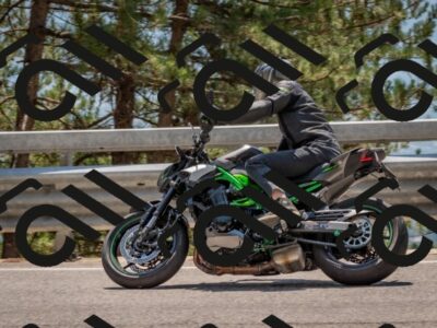 202508101338-DSC_4509_c4_