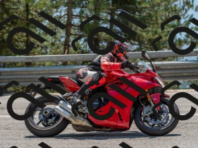 202508101341-DSC_4533_c4_