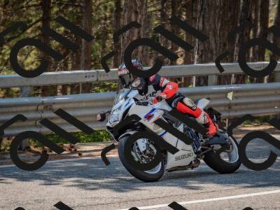 202508101342-DSC_4535_c4_