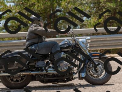 202508101404-DSC_4704_c4_