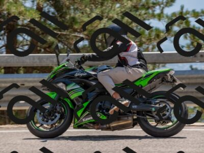 202508101423-DSC_4756_c4_