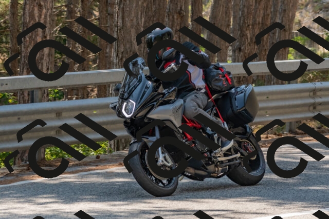 202508101431-DSC_4808_c4_