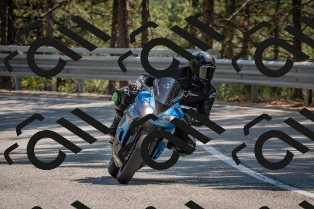 202508101436-DSC_4849_c4_