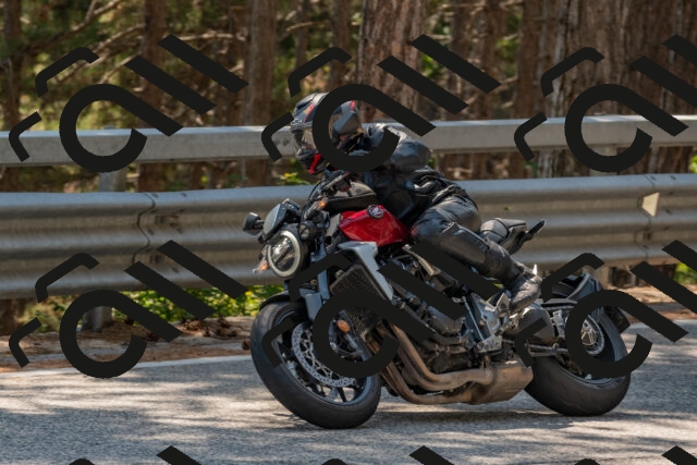 202508101438-DSC_4881_c4_