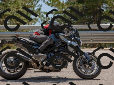 202508101445-DSC_4930_c4_